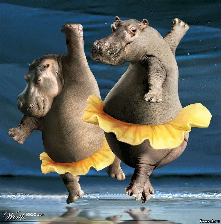 http://www.fisnyak.ru/post/post91/Jive_Critters_047.jpg